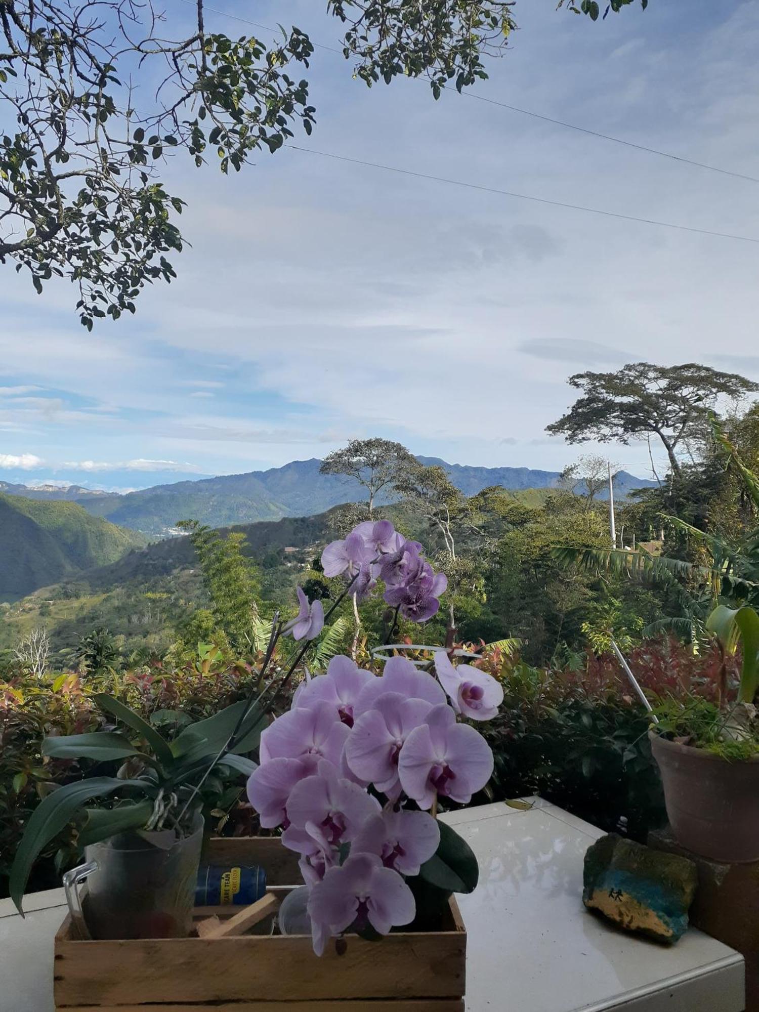 Casa Finca El Girasol Villa Guayabal de Siquima Ngoại thất bức ảnh