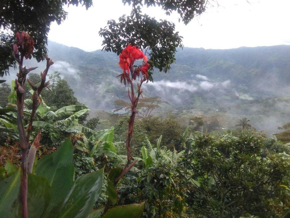 Casa Finca El Girasol Villa Guayabal de Siquima Ngoại thất bức ảnh